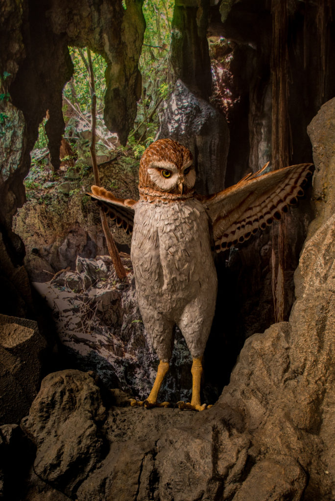 6a-giant-owl_df