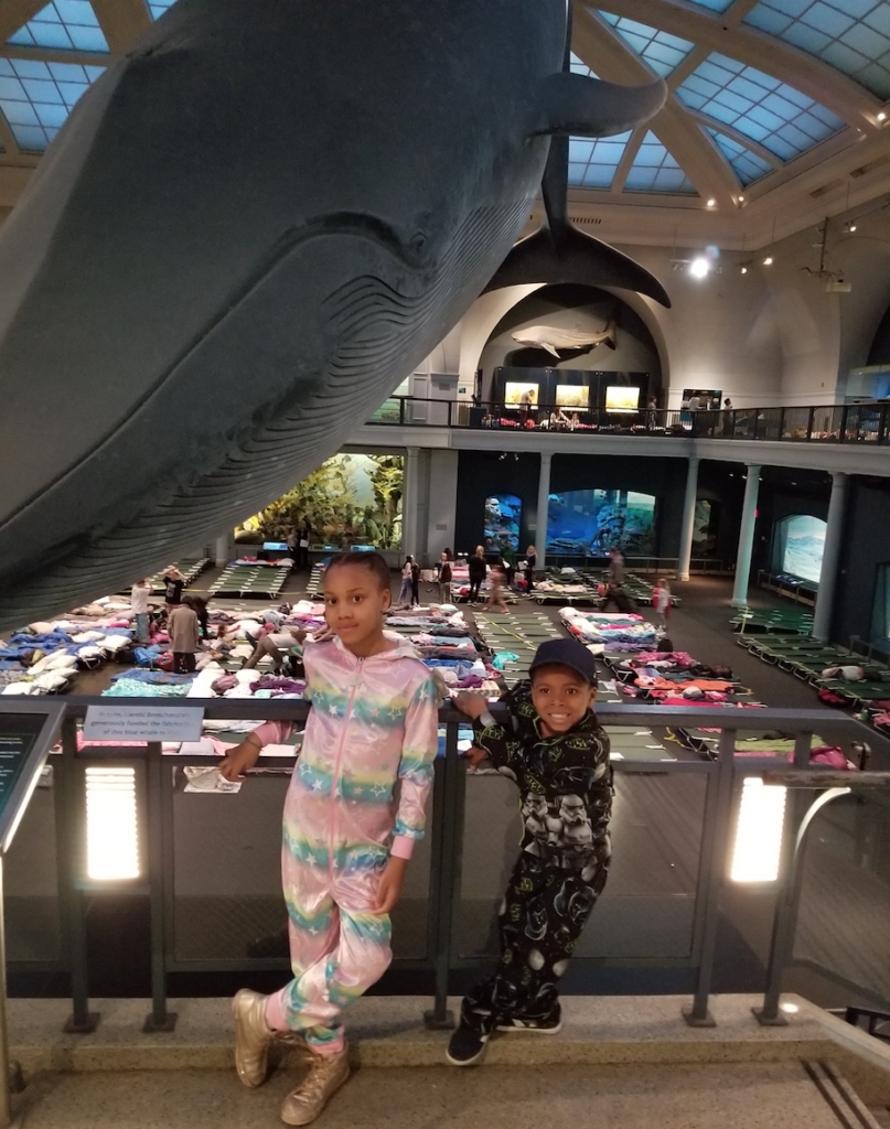 a-night-at-the-museum-review